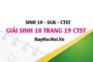 Giải Sinh 10 trang 19 Chân trời sáng tạo SGK